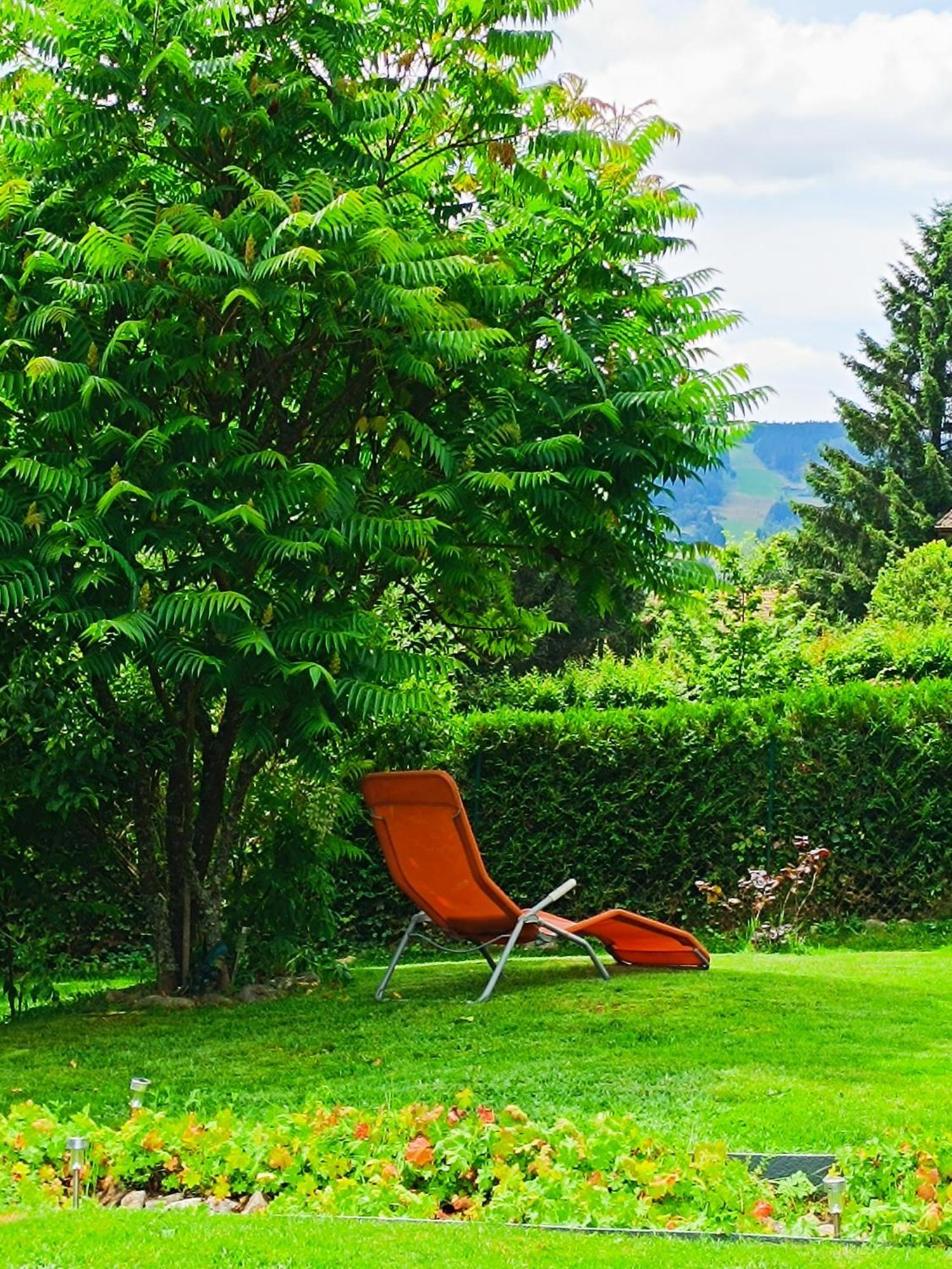 L'Eden De Floridylle Bed & Breakfast Xonrupt-Longemer Eksteriør bilde